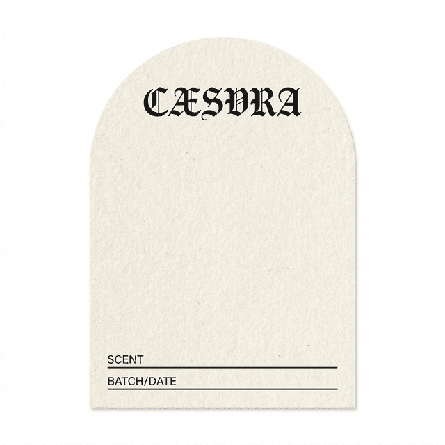 The Architecture of Creation: Why We Began at Genesis